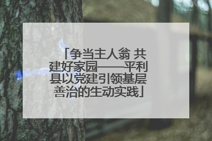 争当主人翁 共建好家园——平利县以党建引领基层善治的生动实践