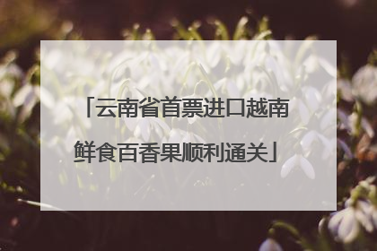 云南省首票进口越南鲜食百香果顺利通关