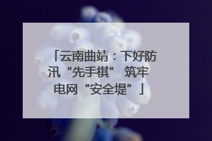 云南曲靖：下好防汛“先手棋” 筑牢电网“安全堤”