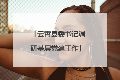 云霄县委书记调研基层党建工作