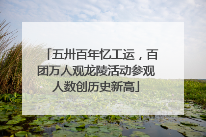五卅百年忆工运，百团万人观龙陵活动参观人数创历史新高