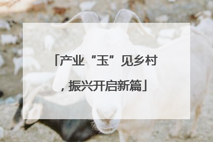 产业“玉”见乡村，振兴开启新篇