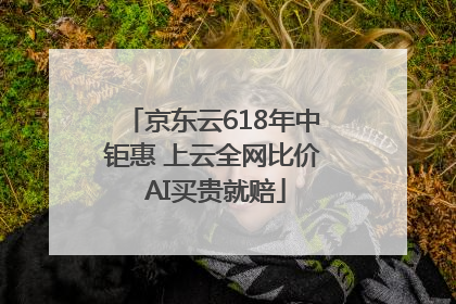 京东云618年中钜惠 上云全网比价 AI买贵就赔