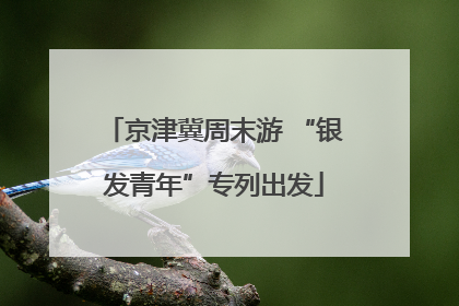 京津冀周末游 “银发青年”专列出发
