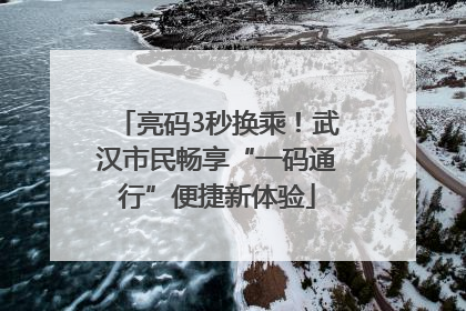 亮码3秒换乘！武汉市民畅享“一码通行”便捷新体验