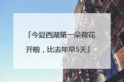 今夏西湖第一朵荷花开啦，比去年早5天