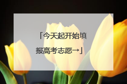 今天起开始填报高考志愿→