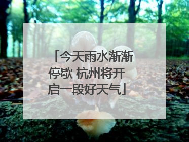 今天雨水渐渐停歇 杭州将开启一段好天气
