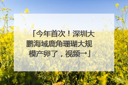 今年首次！深圳大鹏海域鹿角珊瑚大规模产卵了，视频→