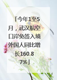 今年1至5月，武汉航空口岸免签入境外国人同比增长160.87%