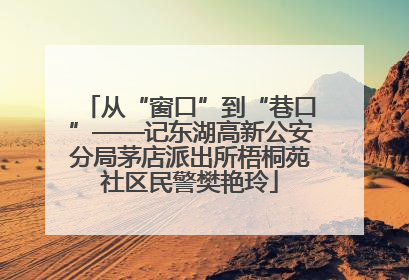 从“窗口”到“巷口”——记东湖高新公安分局茅店派出所梧桐苑社区民警樊艳玲