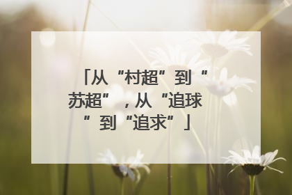 从“村超”到“苏超”，从“追球”到“追求”