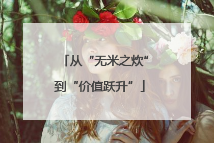 从“无米之炊”到“价值跃升”
