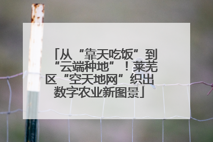 从“靠天吃饭”到“云端种地”！莱芜区“空天地网”织出数字农业新图景