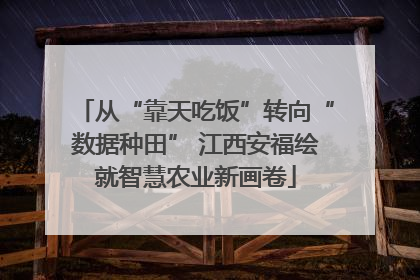 从“靠天吃饭”转向“数据种田” 江西安福绘就智慧农业新画卷