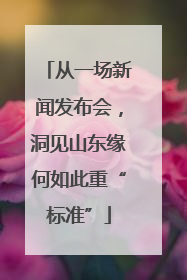 从一场新闻发布会，洞见山东缘何如此重“标准”