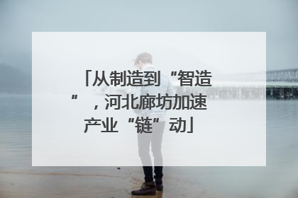 从制造到“智造”，河北廊坊加速产业“链”动