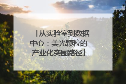 从实验室到数据中心：美光颗粒的产业化突围路径