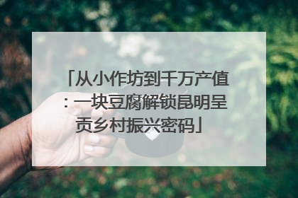 从小作坊到千万产值：一块豆腐解锁昆明呈贡乡村振兴密码