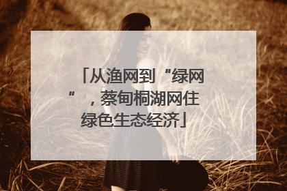 从渔网到“绿网”，蔡甸桐湖网住绿色生态经济