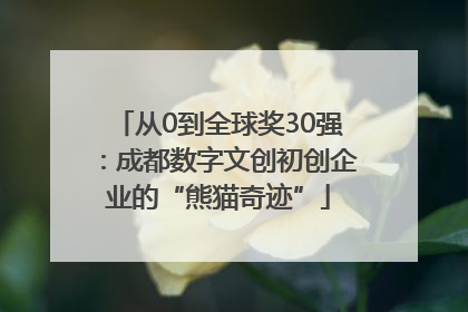从0到全球奖30强：成都数字文创初创企业的“熊猫奇迹”