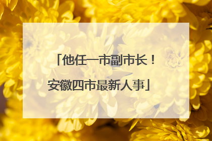 他任一市副市长！安徽四市最新人事