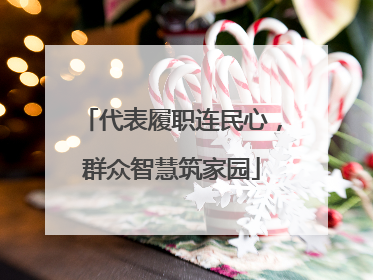 代表履职连民心，群众智慧筑家园