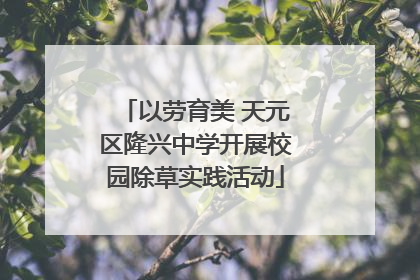 以劳育美 天元区隆兴中学开展校园除草实践活动