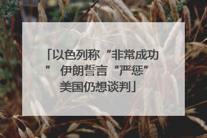 以色列称“非常成功” 伊朗誓言“严惩” 美国仍想谈判