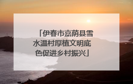 伊春市嘉荫县雪水温村厚植文明底色促进乡村振兴
