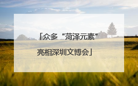 众多“菏泽元素”亮相深圳文博会