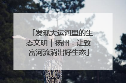 发现大运河里的生态文明｜扬州：让致富河流淌出好生态