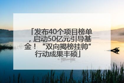 发布40个项目榜单，启动50亿元引导基金！“双向揭榜挂帅”行动成果丰硕