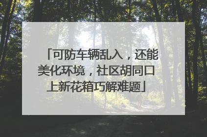可防车辆乱入，还能美化环境，社区胡同口上新花箱巧解难题