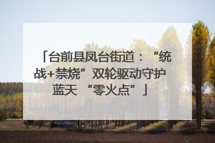 台前县凤台街道：“统战+禁烧”双轮驱动守护蓝天 “零火点”