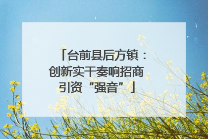 台前县后方镇：创新实干奏响招商引资“强音”