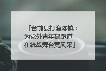 台前县打渔陈镇：为党外青年建跑道 在统战舞台竞风采