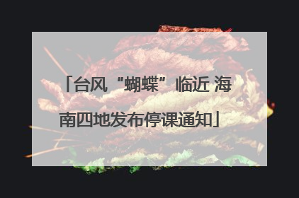 台风“蝴蝶”临近 海南四地发布停课通知