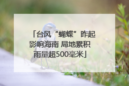 台风“蝴蝶”昨起影响海南 局地累积雨量超500毫米