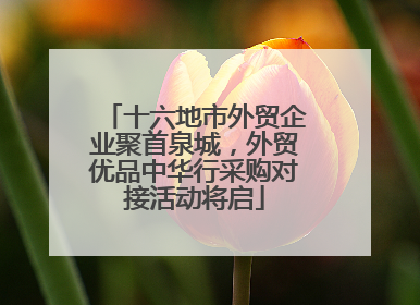 十六地市外贸企业聚首泉城，外贸优品中华行采购对接活动将启