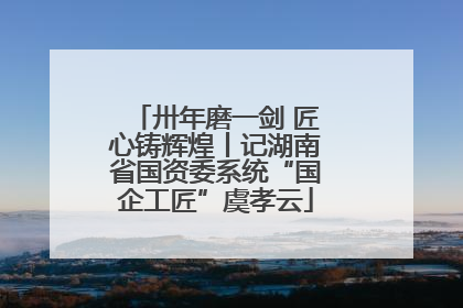 卅年磨一剑 匠心铸辉煌丨记湖南省国资委系统“国企工匠”虞孝云