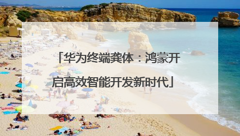 华为终端龚体：鸿蒙开启高效智能开发新时代