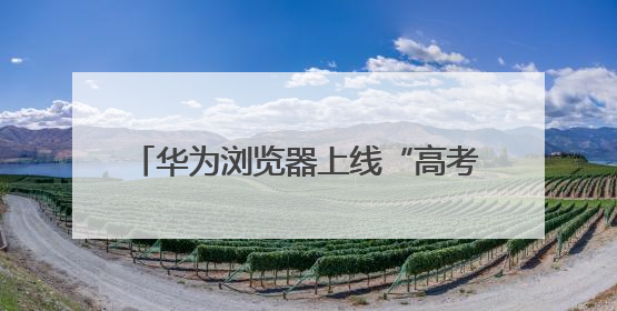 华为浏览器上线“高考”频道，AI志愿助手让志愿填报更稳更准