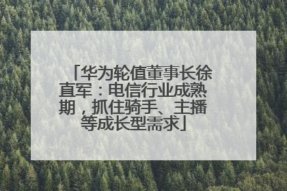 华为轮值董事长徐直军：电信行业成熟期，抓住骑手、主播等成长型需求