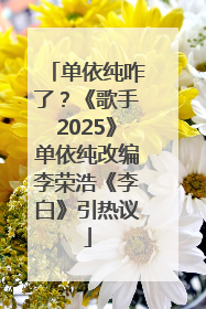 单依纯咋了？《歌手2025》单依纯改编李荣浩《李白》引热议