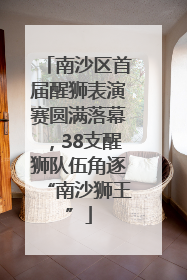 南沙区首届醒狮表演赛圆满落幕，38支醒狮队伍角逐“南沙狮王”