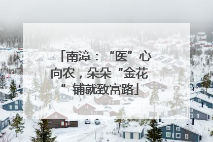 南漳：“医”心向农，朵朵“金花”铺就致富路