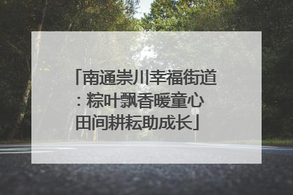南通崇川幸福街道：粽叶飘香暖童心 田间耕耘助成长