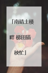 南靖土楼畔 梯田插秧忙