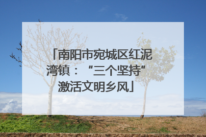 南阳市宛城区红泥湾镇：“三个坚持”激活文明乡风